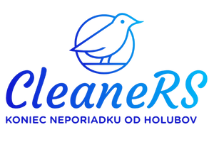 CleaneRS logo